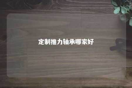 定制推力轴承哪家好 
